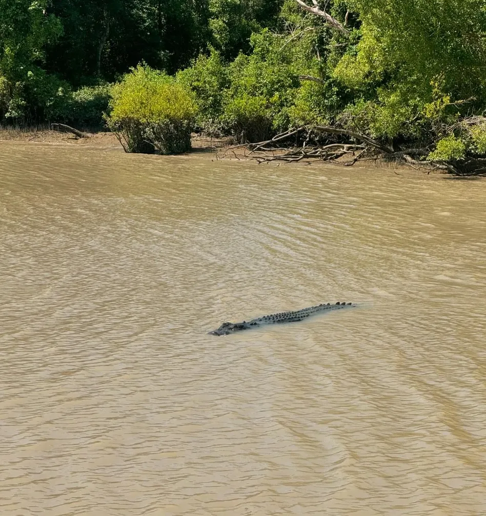 Best Time to do a Crocodile Cruise