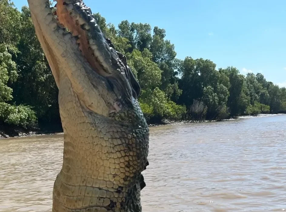 Jumping Crocodile Cruise