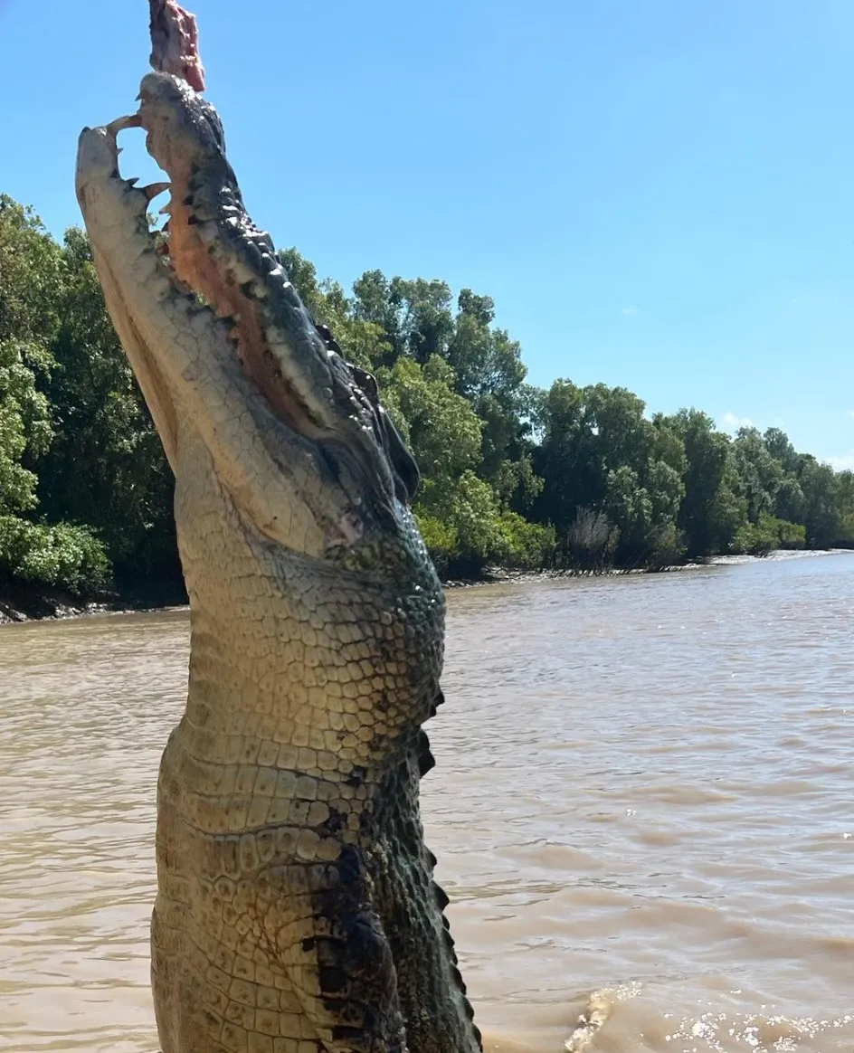 Jumping Crocodile Cruise