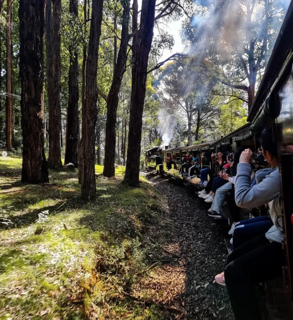 Top Tips for a Puffing Billy Adventure