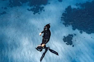 Ultimate Diving Experiences at Ningaloo Reef