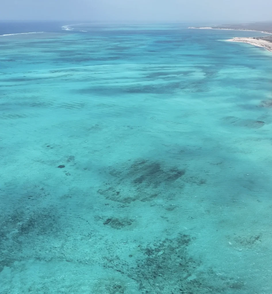 Shark Bay World Heritage