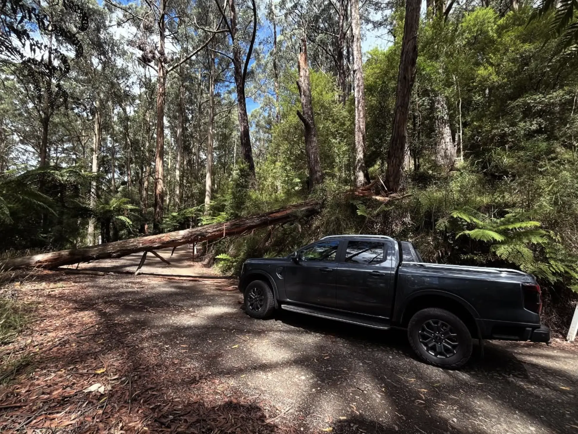 Great Otway National Park